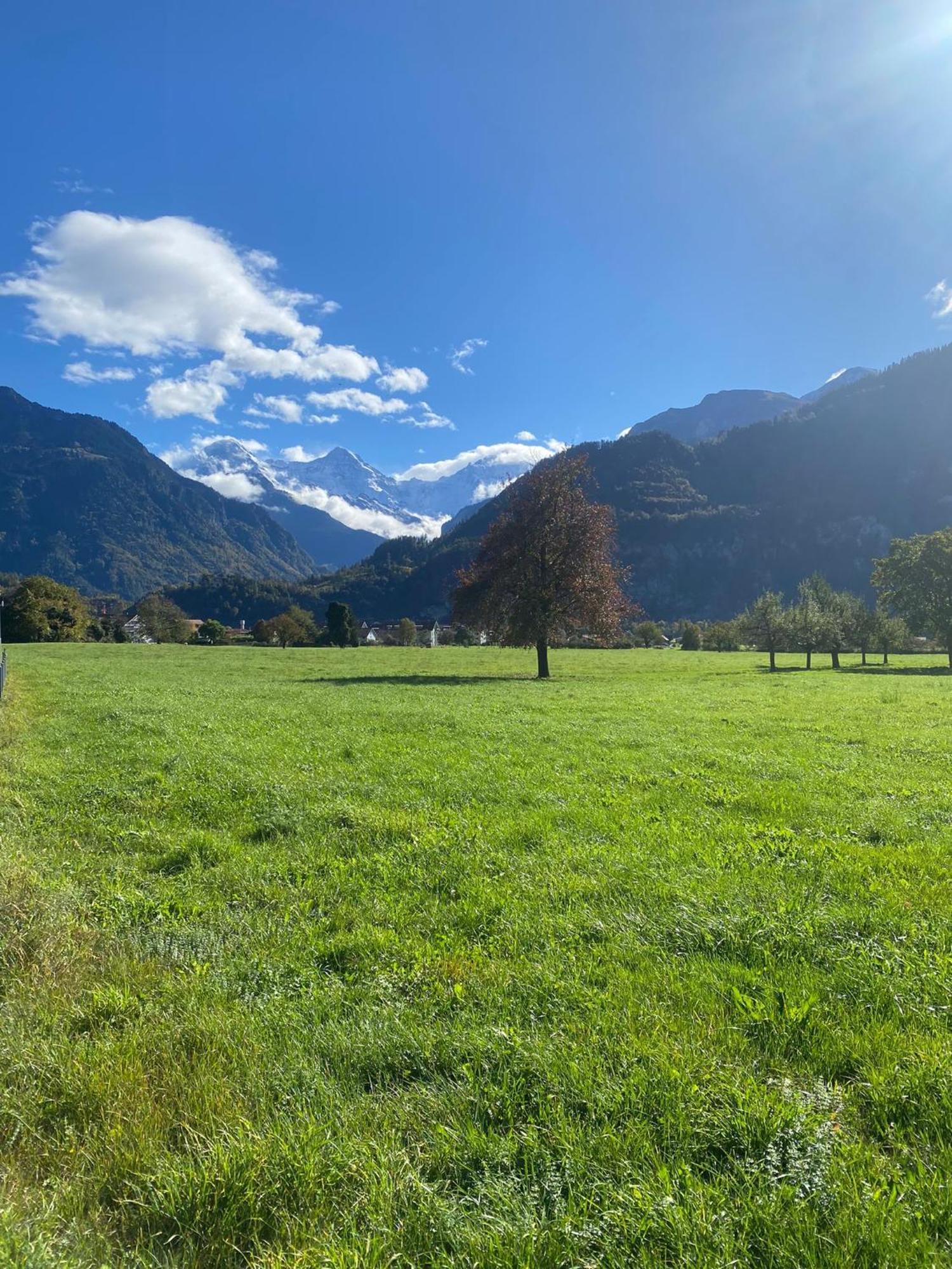 Unique Tiny Eco Lodges With Gorgeous Views To Jungfrau Massiv Interlaken Exterior photo