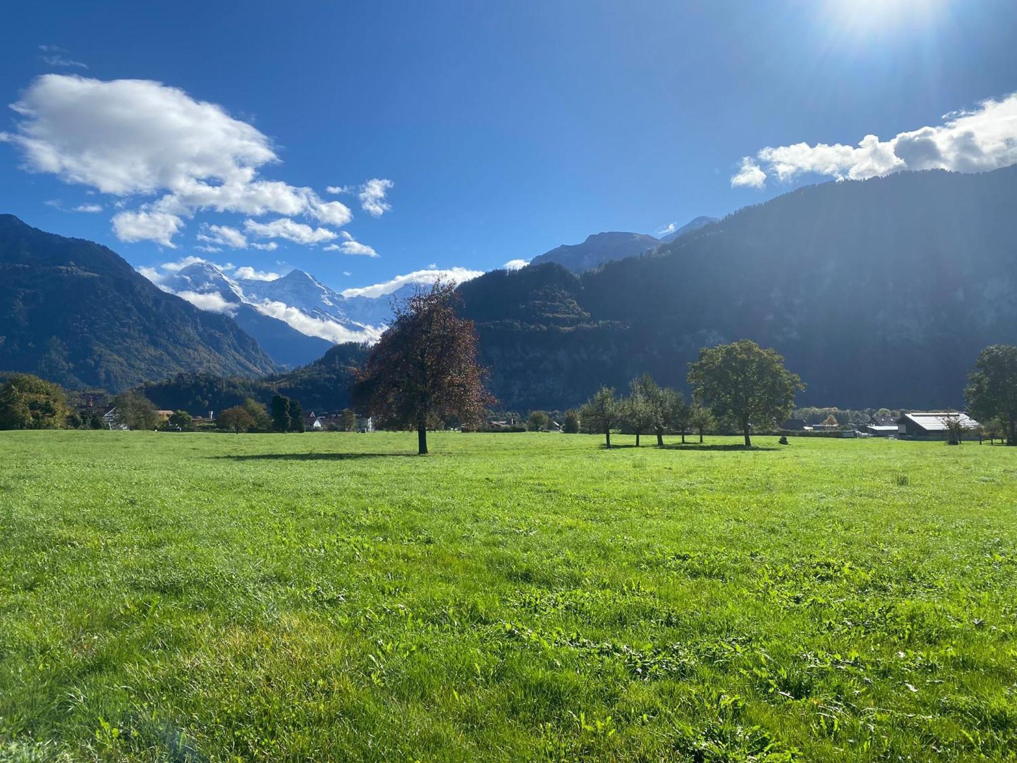 Unique Tiny Eco Lodges With Gorgeous Views To Jungfrau Massiv Interlaken Exterior photo