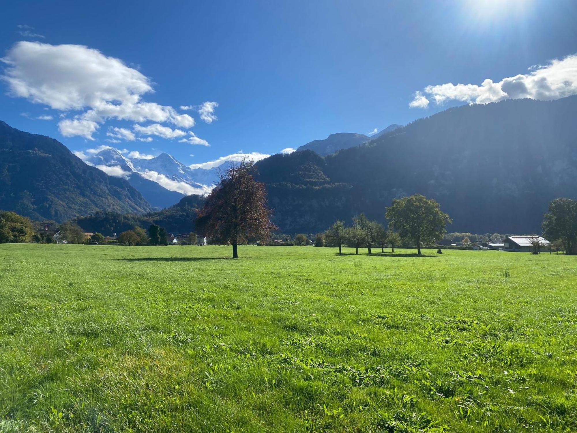Unique Tiny Eco Lodges With Gorgeous Views To Jungfrau Massiv Interlaken Exterior photo